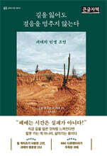 길을 잃어도 걸음을 멈추지 않는다 (큰글자책)