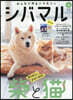 シバマル 6