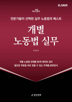 개별 노동법 실무