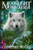 Moonlight Walkers