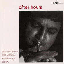 Dusko Goykovich (두스코 고이코비치) - After Hours