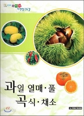 과일 열매 풀 곡식 채소 