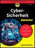Cyber-Sicherheit fur Dummies