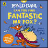 Roald Dahl: Can You Find Fantastic Mr Fox?
