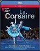 Alina Cojocaru / English National Ballet 아당: 해적 (Adam: Le Corsaire) 블루레이
