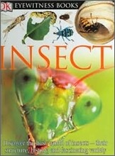 DK Eyewitness Books : Insect