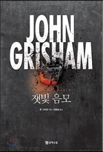 잿빛 음모