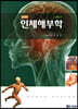 인체해부학