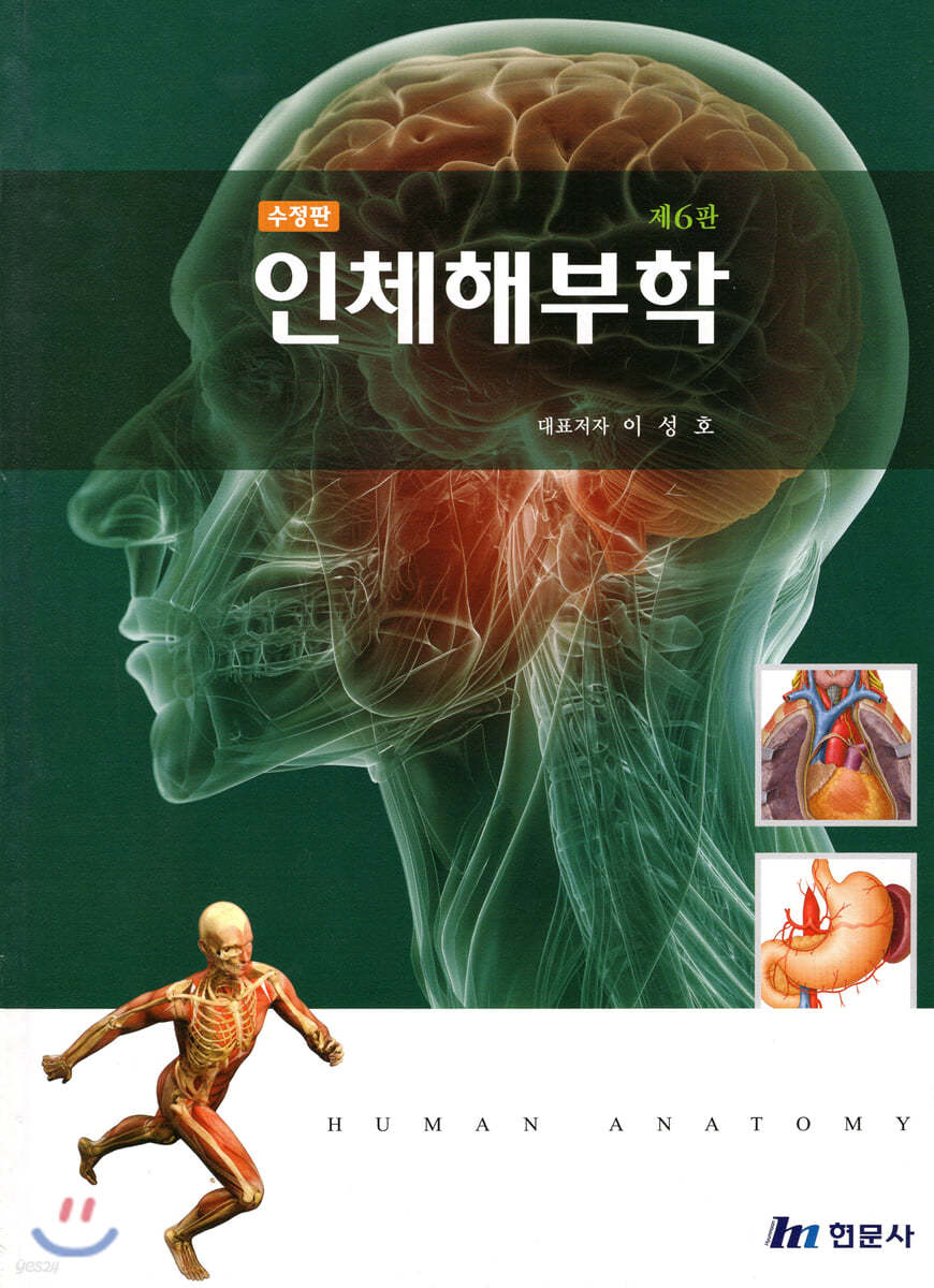 인체해부학