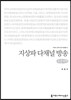 지상파 다채널 방송(큰글씨책)