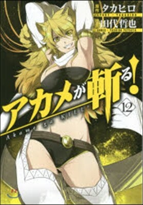 アカメが斬る!  12