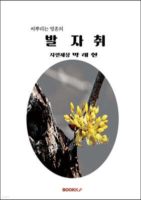 씨뿌리는 영혼의 발자취