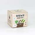 강낭콩 모종 화분 식물 키우기 교육자료 유치원 어린이집 체험 미니텃밭