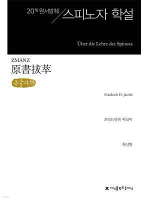 원서발췌 스피노자 학설 (큰글자책)