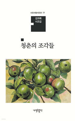 청춘의 조각들