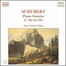 Jeno Jando 슈베르트: 피아노 소나타 (Schubert: Piano Sonatas D.784, D894)