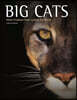 Big Cats: Feline Predators from Around the World