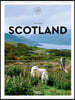 Scotland: The Extraordinary Guide: An Insider Tour of Art, Food, and Culture