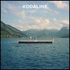 Kodaline (코다라인) - 1집 In A Perfect World [LP]