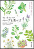 ちょっとひとつみハ-ブと菜っぱ