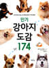 인기 강아지 도감 174