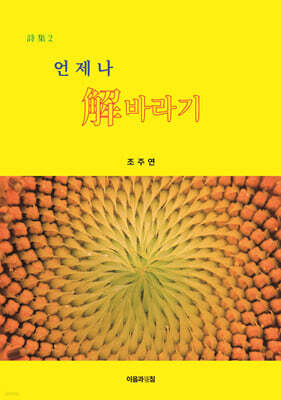 언제나 해바라기