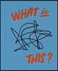 Tamara Shopsin: What Is This?