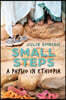 Small Steps