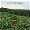 Luther Dickinson (루터 디킨슨) - Rock'N Roll Blues [LP]