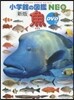 魚 新版 DVDつき