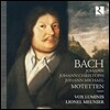 Vox Luminis 바흐 선조 가문의 모테트 (Johann Bach / Johann-Christoph Bach / Johann Michael Bach: Motetten)
