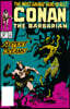 Conan the Barbarian: The Original Comics Omnibus Vol.9