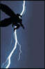 Batman: The Dark Knight Returns (New Edition)