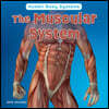 The Muscular System