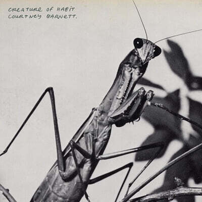 Courtney Barnett (커트니 바넷) - 4집 Creature of Habit [LP]