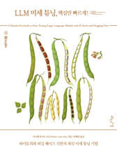 LLM 미세 튜닝, 핵심만 빠르게!