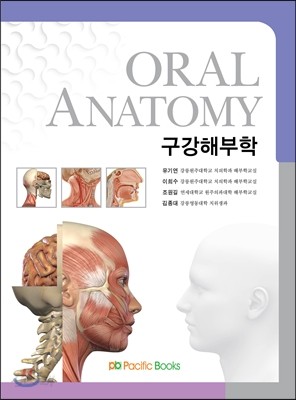 Oral Anatomy 구강해부학