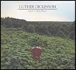 Luther Dickinson (루터 디킨슨) - Rock 'N Roll Blues