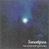 스위트피 (Sweetpea) 1집 - 결코 끝나지 않을 이야기들