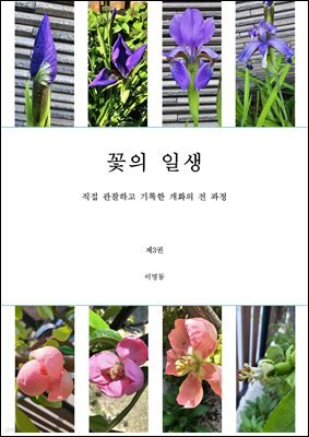 꽃의 일생 3권