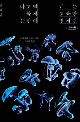 나는 고독한 별처럼 (큰글씨책)
