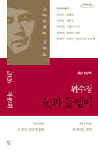 눈과 돌멩이 (큰글자도서)