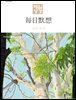 한중대조 매일성경 2026년 5-6월호(창세기 33-50장, 고린도전서)