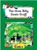 Jolly Phonics Readers, Inky & Friends, Level 3