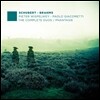 Pieter Wispelwey / Paolo Giacometti 슈베르트 / 브람스: 첼로와 피아노를 위한 작품 전곡 1집 (Schubert - Brahms: The Complete Duos / Phantasie)
