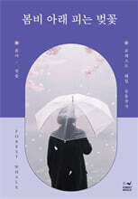 봄비 아래 피는 벚꽃