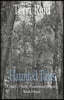 Haunted Tales - A Mary O'Reilly Paranormal Mystery (Book Fifteen)