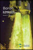 Boron: In Search of the Real Fifth Element