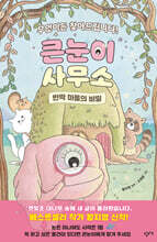 큰눈이 사무소 : 반짝 마을의 비밀
