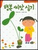 행복 씨앗 심기